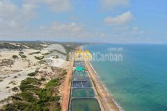 Bán lô đất huyện bắc bình, bình thuận từ 3000 30.000 m2