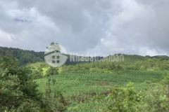 Cần bán mảnh đất 668m2 tại y tý, view nhìn ra ruộng bậc thang, giá khuyến mãi