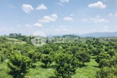 Hàng khan của hiếm view đồi bám suối trù phú và sinh khí giá chưa đầy 2 tỷ