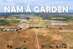 Cần bán đất biển bình, đất vườn thuận diện tích đa dạng từ dài ngàn đến dài chục ngàn m2