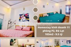 Khách sạn kinh doanh 11 phòng phướng 2, đà lạt 9.5 tỷ