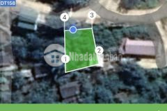 Mảnh 400m ngải trồ y tý giá siêu ưu đãi