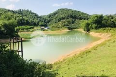 Bán đất rừng hòa bình,nơi nghỉ dưỡng lý tưởng.