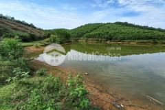 Bán gấp hàng hiếm 5,5ha rsx hồ trong đất mặt view hồ lưng tựa núi chỉ 4,5 tỷ kim bôi hb