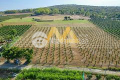 Chính chủ cần bán lô đất vườn gần quốc lộ 1a tìm khách có thiện chí