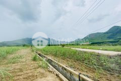 Bán đất mặt tiền hơn 100m rộng 1ha có cây lâu năm giá rẻ lh 0788.558.552