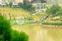 Ivory hòa bình biệt thự 5 sao giá rẻ hơn 30 40 so với biệt thự ven đô hà nội, 20trm2, htls 0