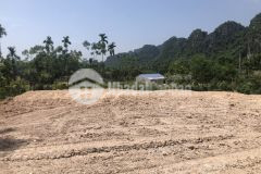 Bán 1500m đất thổ cư nghỉ dưỡng tại lương sơn hoà bình giá đầu tư 950km