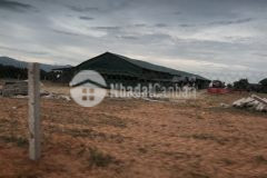 Cần tiền bán gấp 6070m2 đất nông nghiệp hồng thái gần đất dự án rạng đông chỉ 455tr lh 0938677909