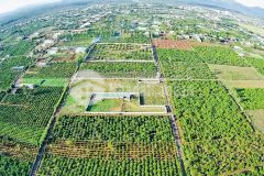 Bán đất nông nghiệp phường yên thế pleiku 35 triệu