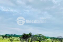 Bán lô đất thị trấn chợ lầu 4200m2 giá bán 120.000đm2 sát đường liên huyện đi sân bay phan thiết