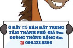 Bán nhanh lô đất ở trung tâm thành phố giá chỉ hơn 900 triệu