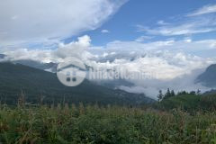 Bán nhanh lô đất có 1 không 2 5500m mò phú chải y tý với giá cực hấp dẫn