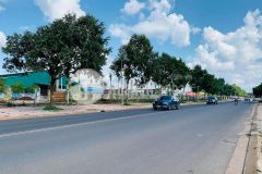 Bán đất mặt tiền tỉnh lộ 8 đối diện khu cn tân an 10x30 5 tỷ