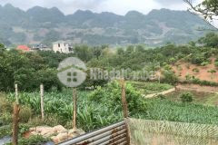 Mảnh đất có 1 không 2 tại mộc châu, diện tích 2108m2, full thổ cư