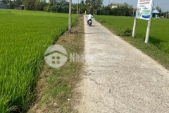 Đất đầu tư thôn lại ân, 143m2, đường 5m