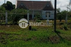 Bán gấp 125m2 thổ cư giá 800tr gần khu dl đambri bảo lộc