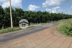 Đất bình phước giá rẻ có thổ cư 100m2 sổ sẵn