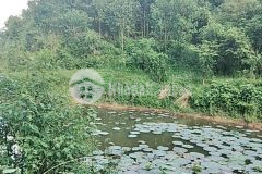 Bán đất kim bôi dt 4,5ha có 400m2 thổ cư,gần 1ha đất vườn còn lại là đất rsx