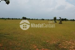 Bán 4250m2 đất thị trấn chợ lầu 510tr ck đến 5 chỉ cách liên huyện 150m, cách biển 4km lh 0938677909