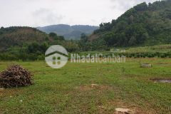 Bán đất cao phong hòa bình dt 10.2ha full thổ cư.