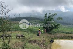 Cần tiền bán gấp mảnh 9000m mpc giá ưu đãi