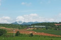 Cần tiền bán gấp 220m2 đường lý thái tổ giá 880tr