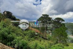 Bán đất đường ba tháng tư phường 3 tp. đà lạt.