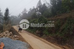 Bán nhanh mảnh đất đắc địa 450m y tý giá rẻ