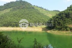 Xanh sạch ai muốn về với mẹ thiên nhiên thì về đội em