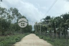 Dịch covid cần sang nhượng lại 4900m sau chợ ubnd tân hà 6 tỷ