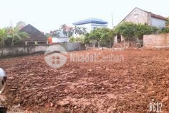 Cần bán 323m2 đất trục chính đông kết khoái châu hưng yên gia 10.5tr1m2