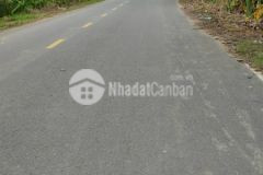 Nền tân phú cái răng cần thơ 223m2