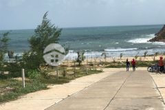 Bán gần 300m2 đất ven biển tam thanh, tam kỳ, quảng nam. lh0398687281