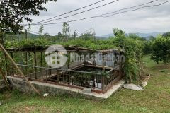 Bán đất cao phong dt6000m2 view nhìn toàn thành phố chưa đến 1 tỷ