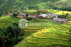 Bán mảnh 730m thôn sín chải wiew tuyệt đẹp giá hấp dẫn