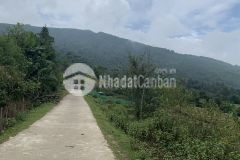 Bán mảnh đất tt y tý giá mấy trăm triệu dành cho các nhà đầu tư