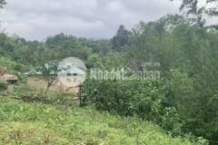 Mảnh đất 500m2 tại mò phú chải, sổ đỏ sang tay, giá siêu hấp dẫn