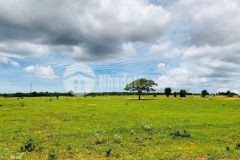 Bán lô đất nông nghiệp thị trấn chợ lầu, bắc bình giá chỉ 500 triệu