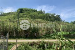 Cần bán 3008m2 đất tại bắc phong, cao phong, hòa bình