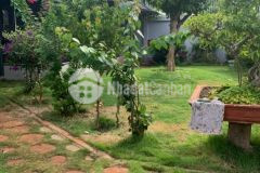 Nhà vườn hẻm cấp 1 đường đi tỉnh lộ 8 25x40 5 tỷ 250tr giá tốt