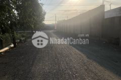 7500 m2 đất vườn 2 mặt tiền thích hợp xây xưởng ở bến lức, long an