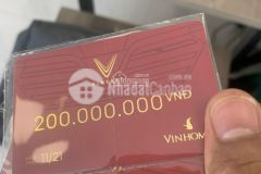 Bán căn song lập 198m2 với giá 0đ hỗ trợ lãi suất 0 ký hợp đồng nhận nhà ngay