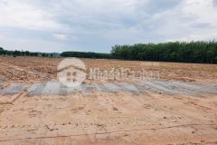 Đất tại đây chắc chắn sẽ đem lại giá trị lợi nhuận cao.