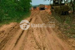 Bán 10,050m2 đất nông nghiệp hồng thái gần dân cư, liên huyện 904tr tặng 5 chỉ lh 0938677909