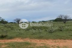 Bán lô đất trồng cây hàng năm, diện tích 6700m2 với giá 600 triệu đồng