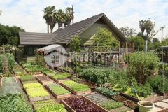 Bán lô đất khu thị trấn tân châu tây ninh