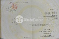 Chính chủ cần bán vườn điều, cách biển 2km, shr