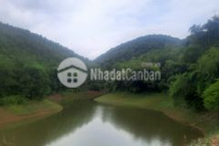 Hàng hiếm bám hồ gần ql12 6,4ha đất tt đẹp suất sắc chỉ 450trha kim bôi