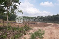 Cần bán gấp lô đất bình phước 1000m2 có sổ hồng sẵn giá chỉ cần 220tr